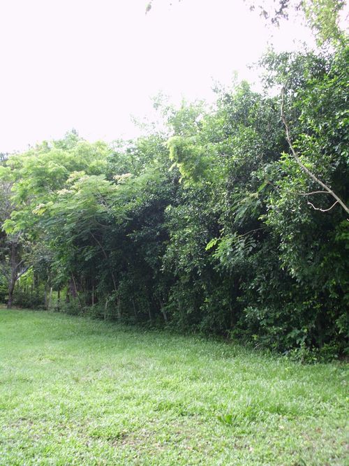 Lote en venta en Ricaurte · foto 15 de 16