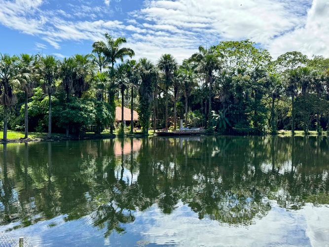Casa de 5 alcobas en venta en Cairo Bajo, Villavicencio · foto 18 de 24