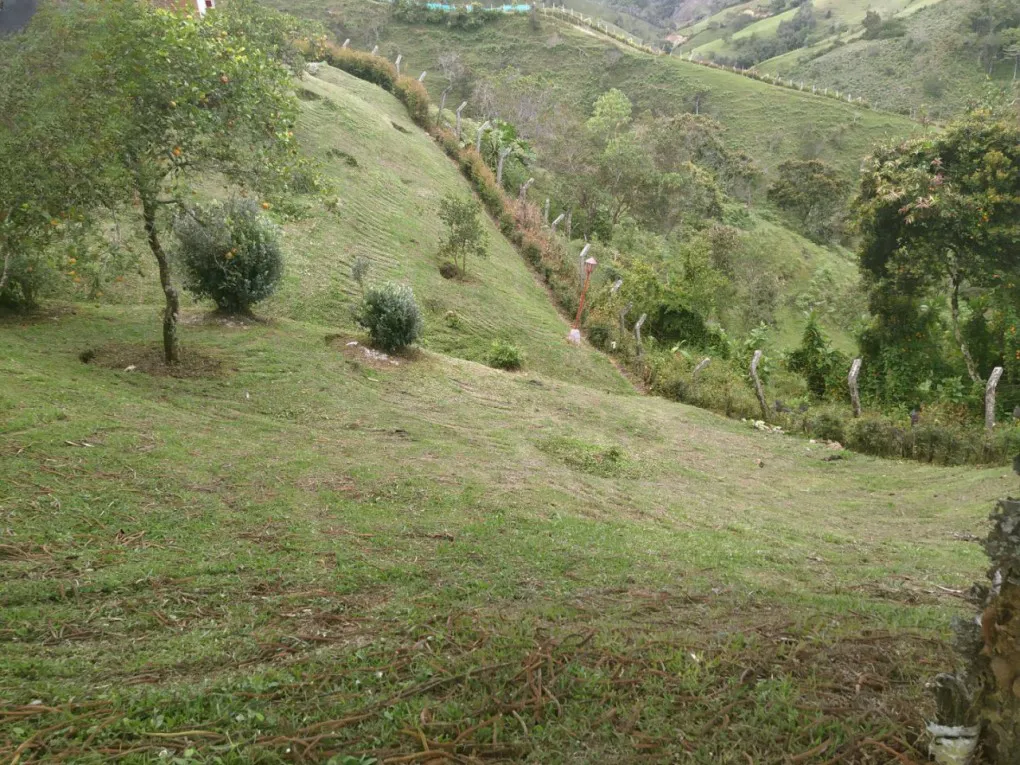 Finca en Venta en El carmelo, Peñol - Miniatura 10