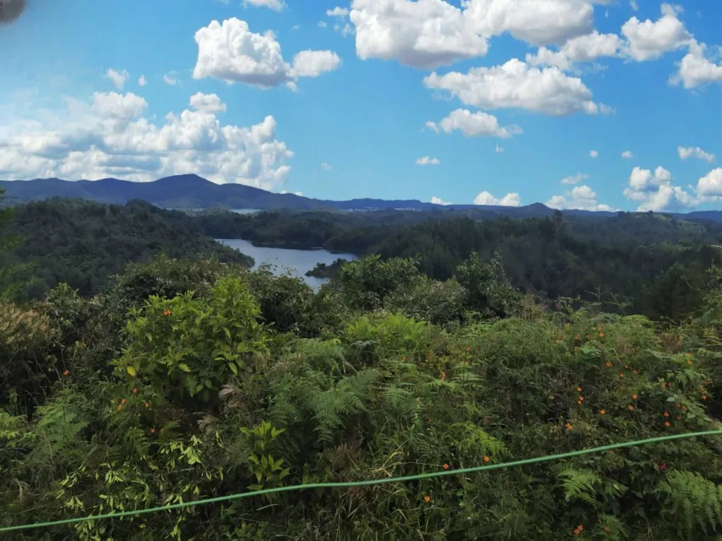 Finca en Venta en El carmelo, Peñol - Miniatura 20