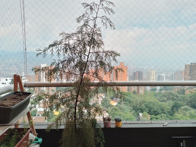 Apartamento de 4 alcobas en arriendo en El Poblado, Medellín, 130 m² · foto 18 de 19