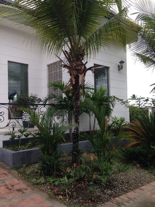 Casa de 7 alcobas en venta en Girardot, Girardot, 500 m² · foto 2 de 24