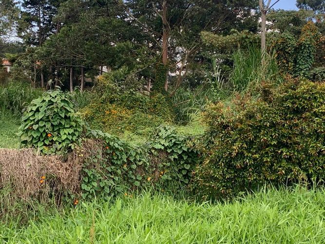 Lote en venta en La Ceja, 2970 m² · foto 6 de 7