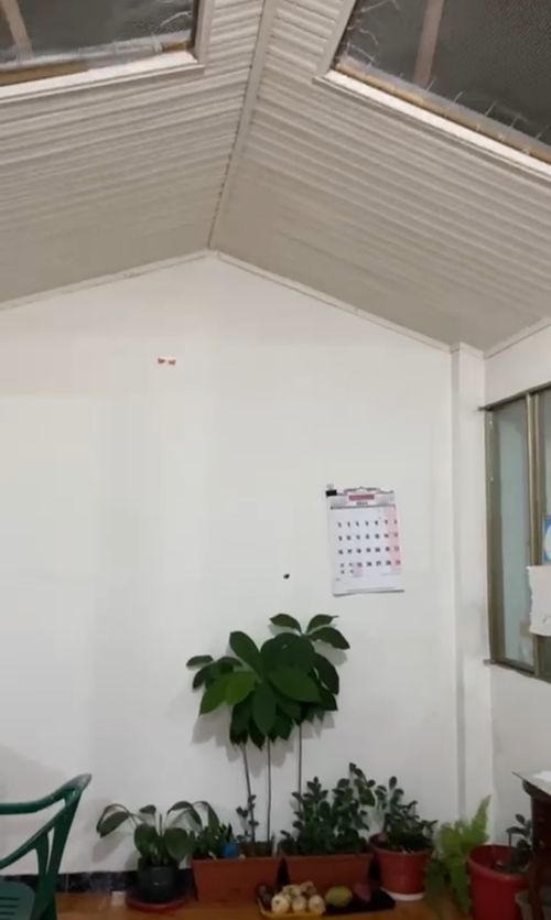Casa en venta en Ciudad Techo Ii, Bogotá · foto 12 de 23