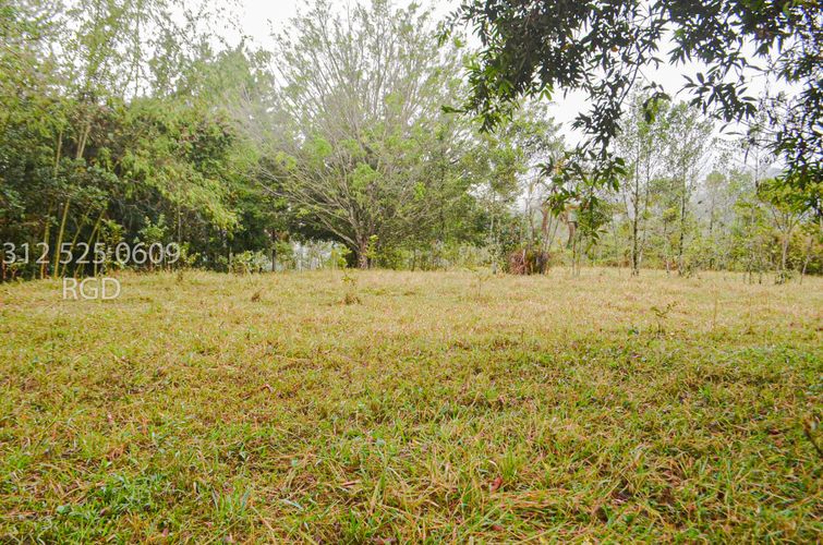Lote en venta en Sector Centro, Tocancipá, 80383 m² · foto 2 de 5