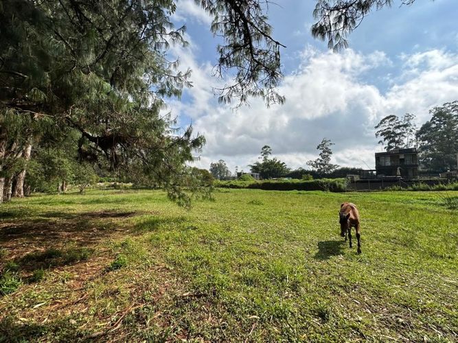 Lote en venta en Llano Grande, Rionegro, 7017 m² · foto 2 de 6