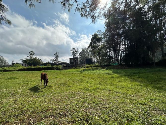 Lote en venta en Llano Grande, Rionegro, 7017 m² · foto 4 de 6