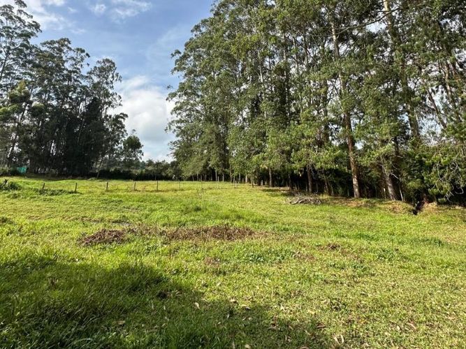 Lote en venta en Llano Grande, Rionegro, 7017 m² · foto 5 de 6