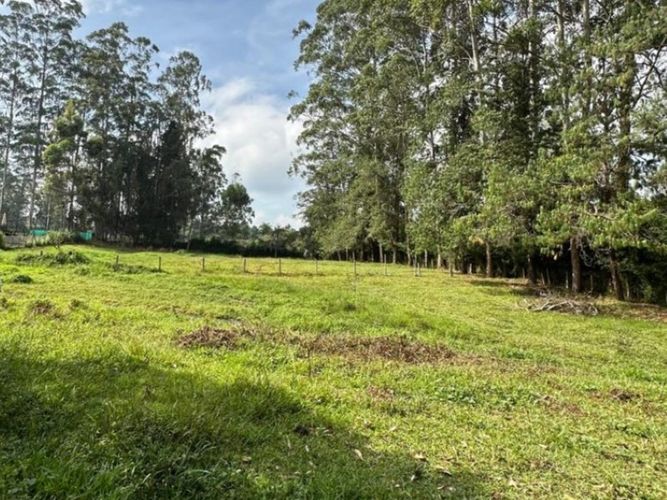 Lote en venta en Llano Grande, Rionegro, 7017 m² · foto 6 de 6