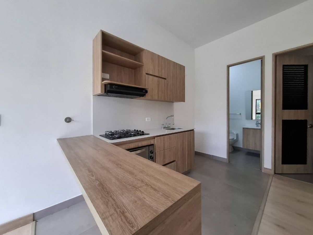 1BR Apartment in Los salados (54 m²) - 2