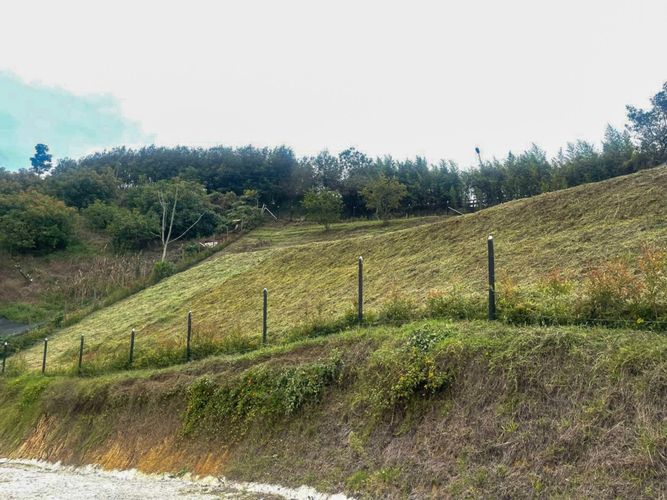 Lote en venta en El Carmen De Viboral, El Carmen de Viboral, 1600 m² · foto 3 de 7