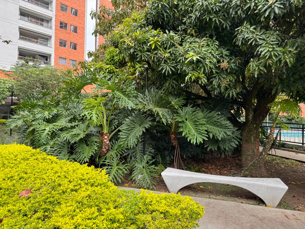Apartamento en Arriendo en Cañaveralejo, Sabaneta - Miniatura 26