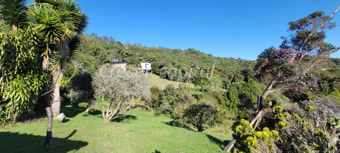 Casa de 3 alcobas en venta en Pantanillo, Envigado, 280 m² · foto 12 de 17