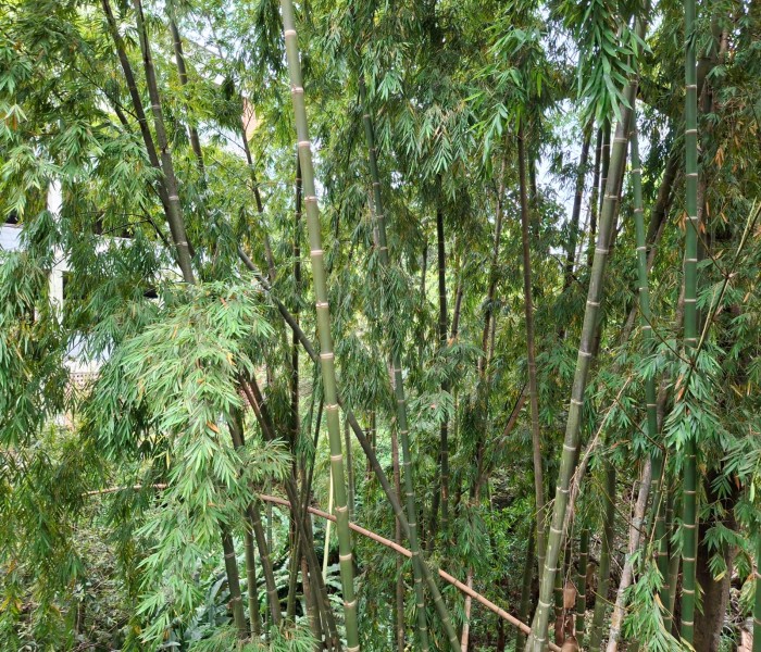 Apartamento en venta en Santa Rosa De Lima, Medellín · foto 18 de 21