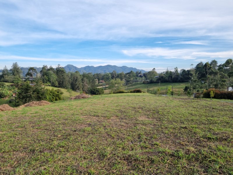 -1BR Land in Los salados (1335 m²) for Sale