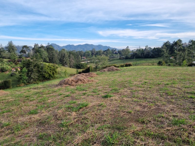 -1BR Land in Los salados (1335 m²) for Sale - 2