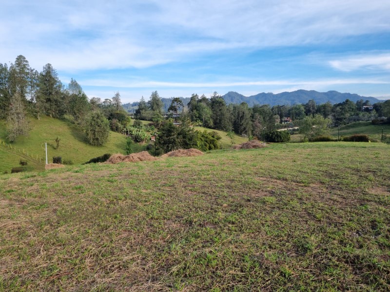 -1BR Land in Los salados (1335 m²) for Sale - 3