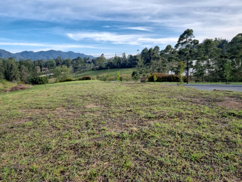 -1BR Land in Los salados (1335 m²) for Sale - 4