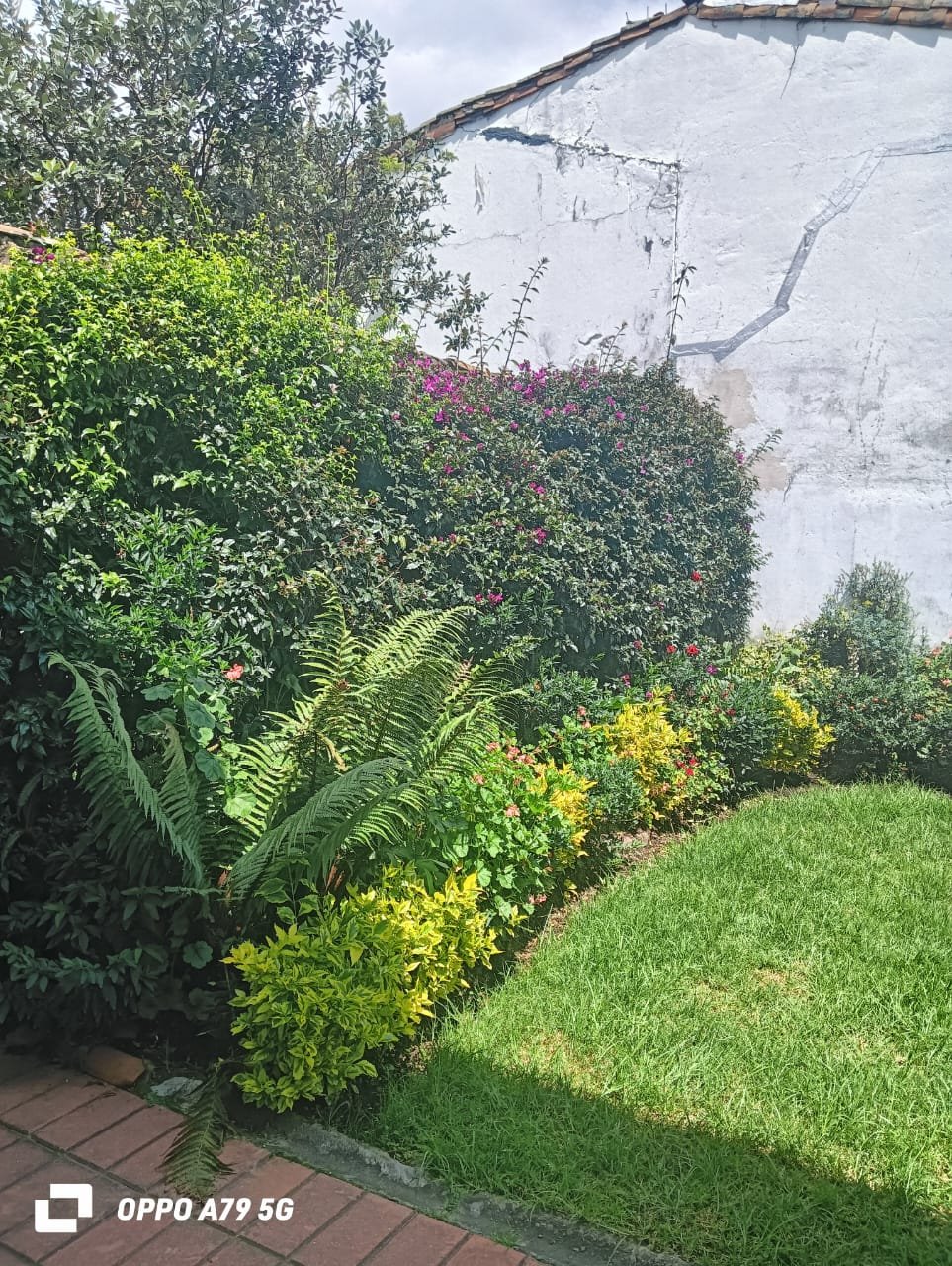 Casa en venta en Las Villas, Bogotá · foto 3 de 24