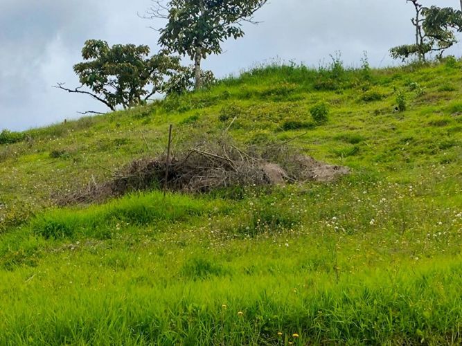 Lote en venta en Guamito, La Ceja, 1187 m² · foto 2 de 2