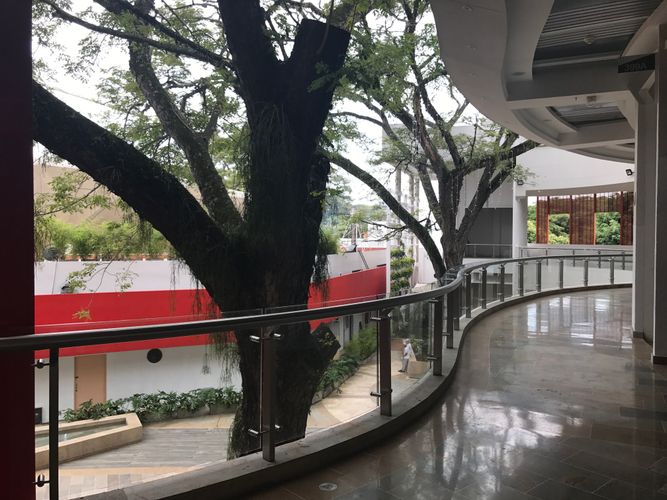 Local en arriendo en Unicentro Cali, Cali, 114 m² · foto 16 de 24