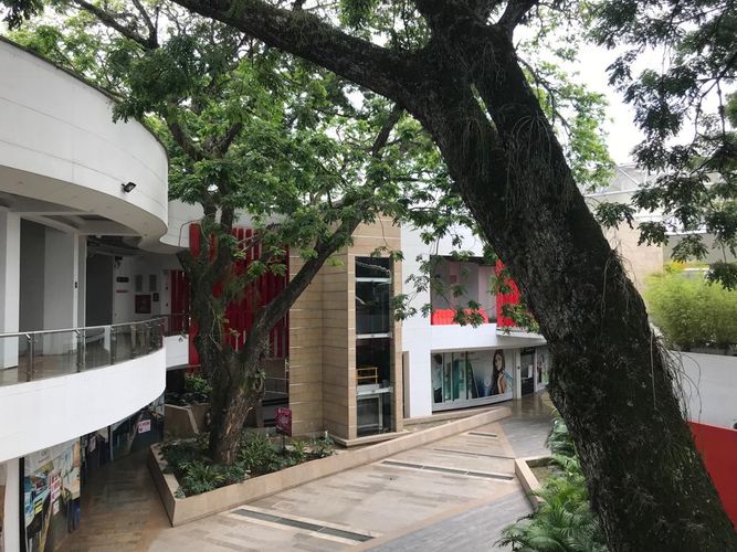 Local en arriendo en Unicentro Cali, Cali, 114 m² · foto 23 de 24