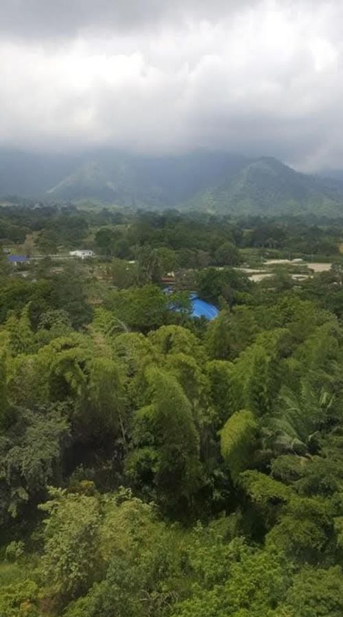 Apartamento de 3 alcobas en venta en Mandrake, Ibagué, 58 m² · foto 14 de 15