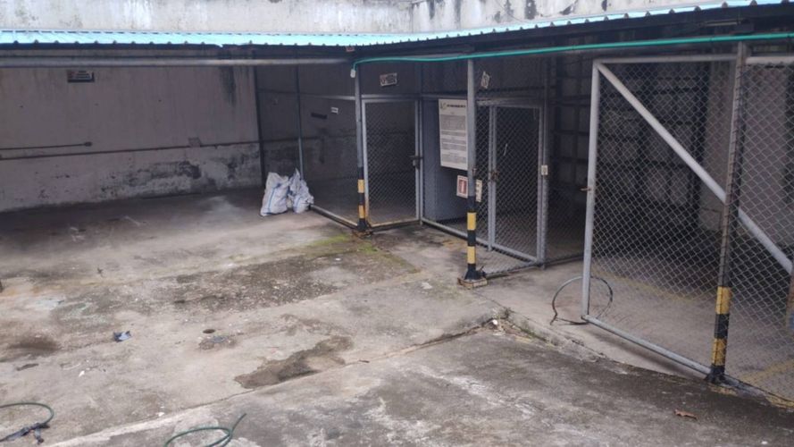 Bodega en arriendo en La Gaitana, Neiva, 250 m² · foto 7 de 12