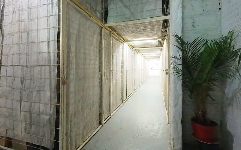 Casa de 4 alcobas en venta en San Jose Del Prado, Bogotá, 290 m² · foto 2 de 22