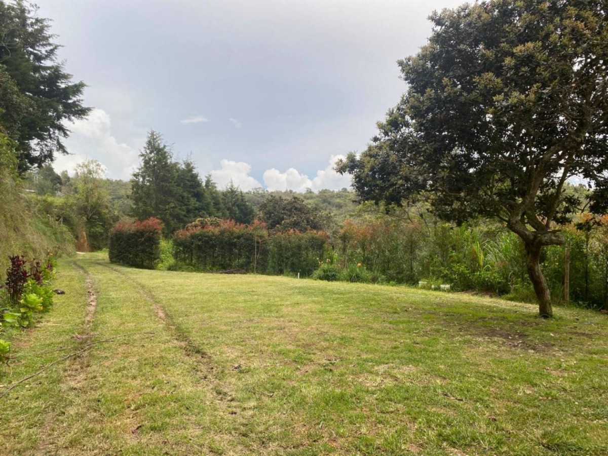 3BR Country House in Mampuesto (4147 m²) for Sale - 3