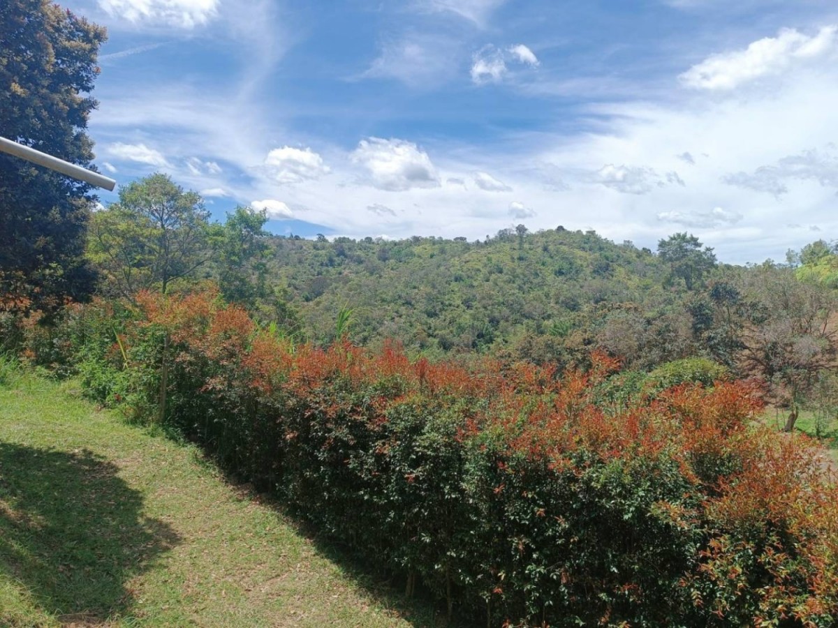 3BR Country House in Mampuesto (4147 m²) for Sale - 4
