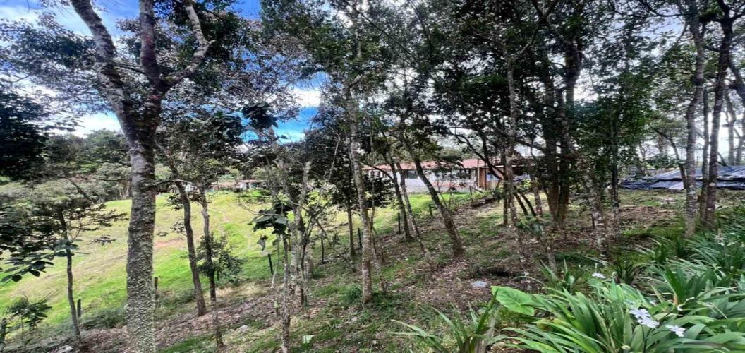 Finca en venta en Piedras Blancas, Guarne, 250 m² · foto 3 de 23
