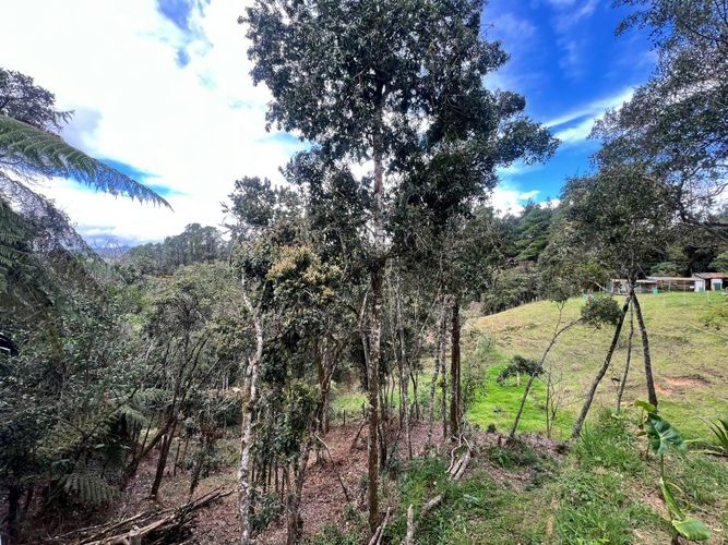 Finca en venta en Piedras Blancas, Guarne, 250 m² · foto 4 de 23