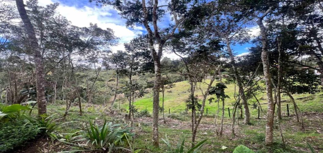 Finca en venta en Piedras Blancas, Guarne, 250 m² · foto 5 de 23