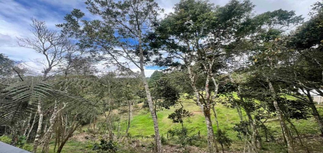 Finca en venta en Piedras Blancas, Guarne, 250 m² · foto 20 de 23