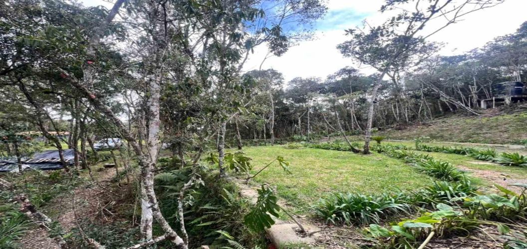 Finca en venta en Piedras Blancas, Guarne, 250 m² · foto 21 de 23