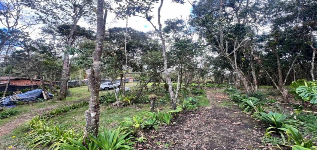 Finca en venta en Piedras Blancas, Guarne, 250 m² · foto 22 de 23
