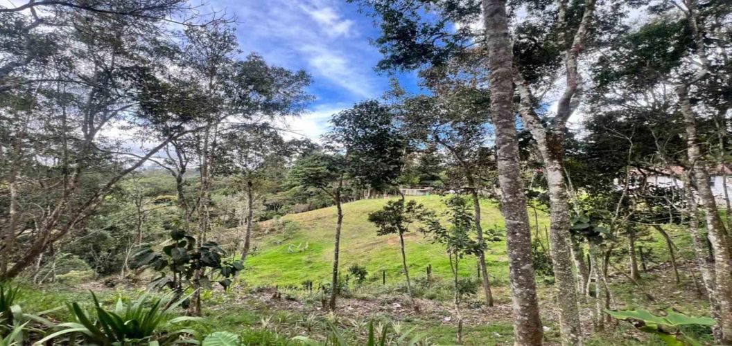 Finca en venta en Piedras Blancas, Guarne, 250 m² · foto 23 de 23