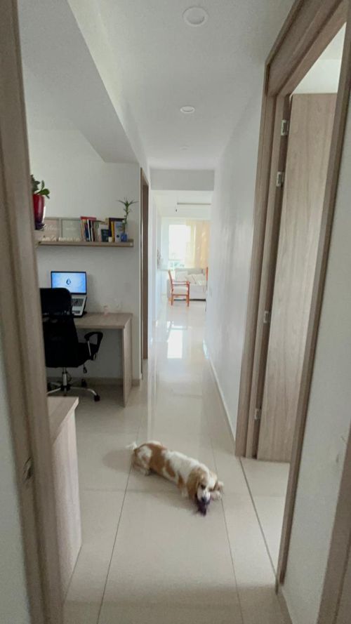 Apartamento de 2 alcobas en venta en Ciudad Melendez, Cali, 82 m² · foto 17 de 23