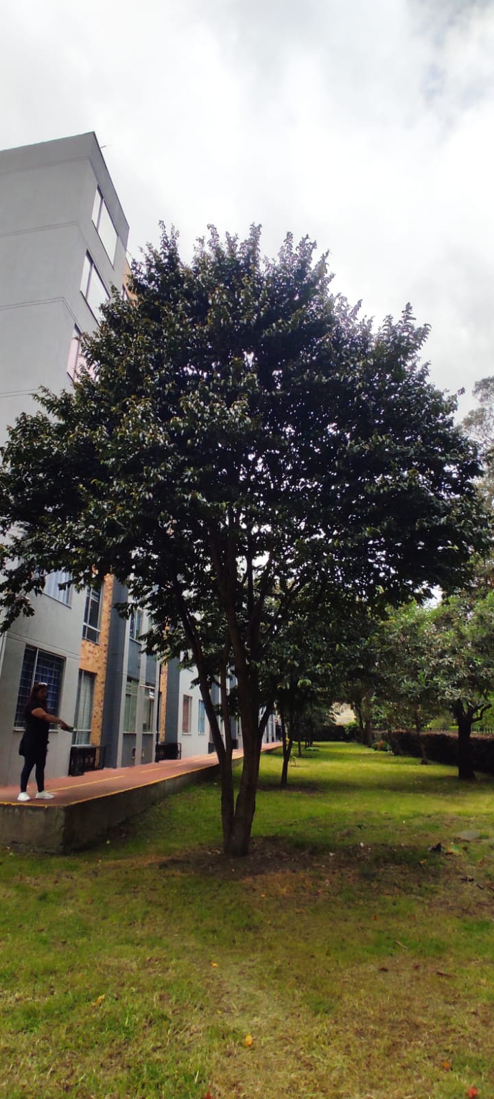 Apartamento en venta en San Antonio Nor - Occidental, Bogotá · foto 9 de 12