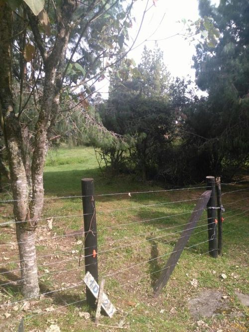 Casa en venta en Yerbabuena, Chía, 390 m² · foto 7 de 19