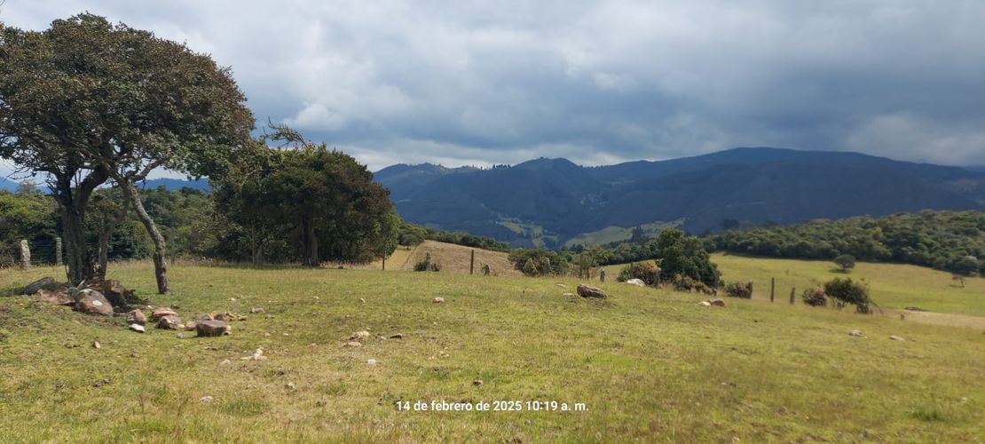 Lote en venta en San Cayetano, La Calera, 11000 m² · foto 5 de 14