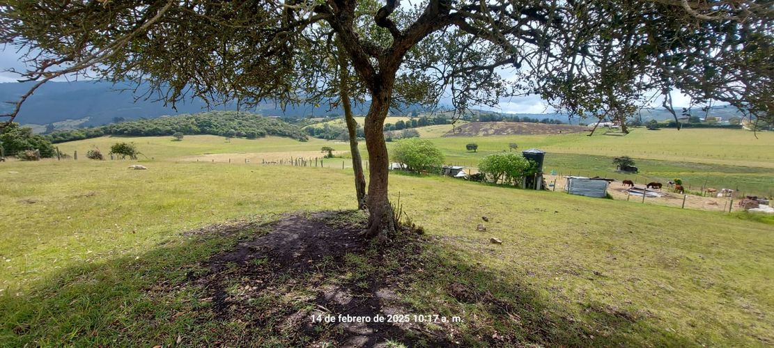 Lote en venta en San Cayetano, La Calera, 11000 m² · foto 12 de 14