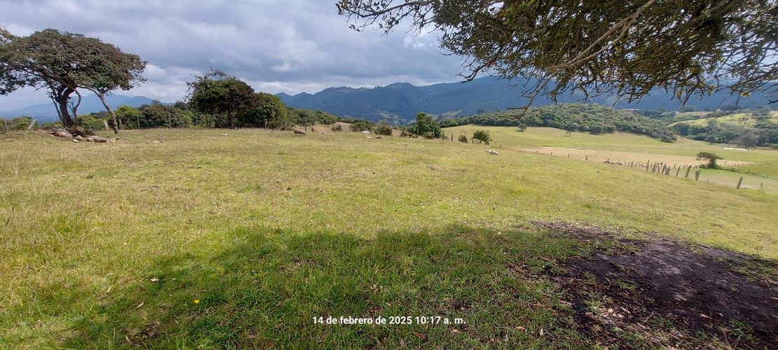 Lote en venta en San Cayetano, La Calera, 11000 m² · foto 13 de 14