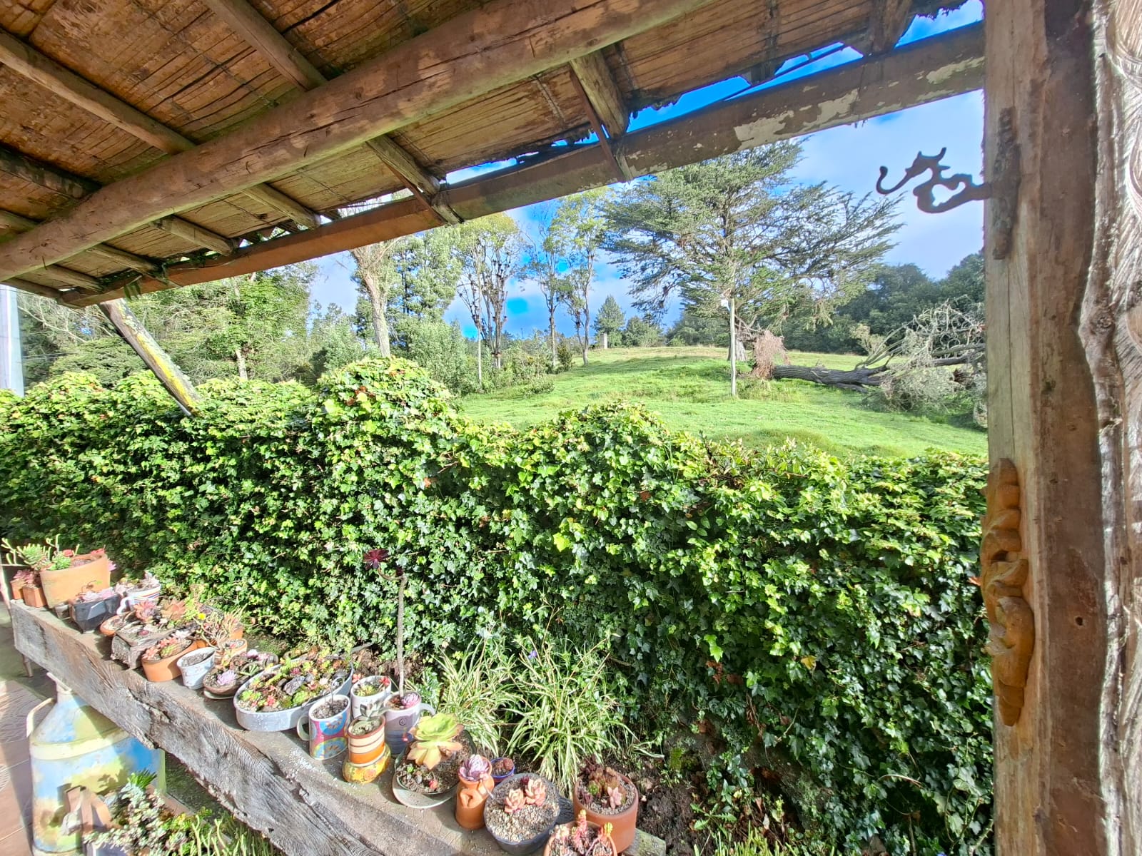 Casa en arriendo en El Rodeo, La Calera · foto 9 de 24