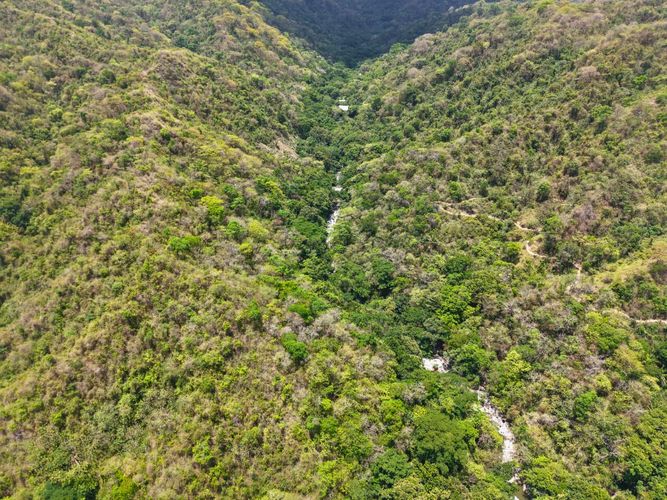 Lote en venta en Corregimiento De Minca, Santa Marta, 2000 m² · foto 2 de 13