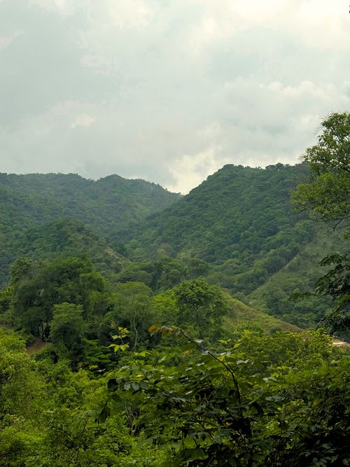 Lote en venta en Corregimiento De Minca, Santa Marta, 2000 m² · foto 3 de 13