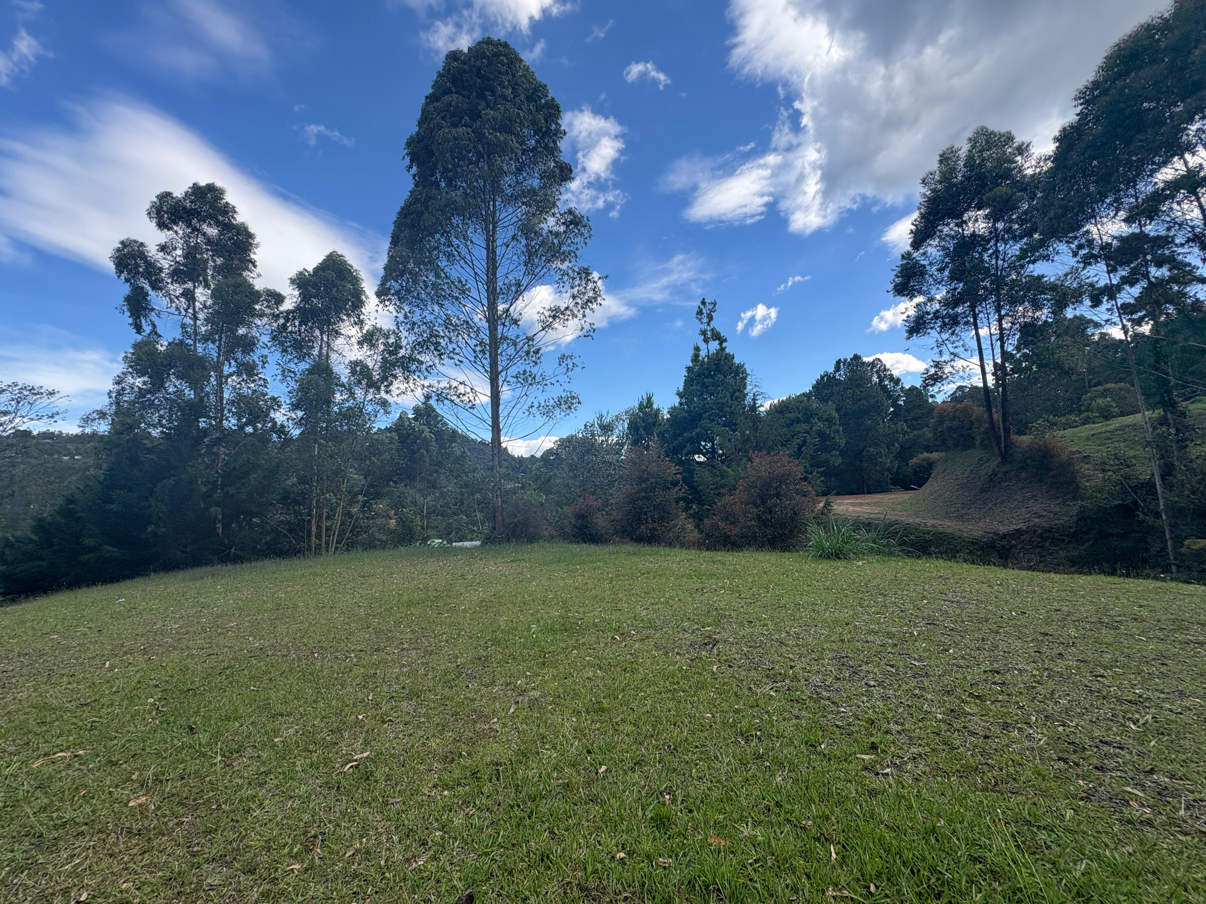 -1BR Land in Pantanillo (1883 m²) for Sale - 2