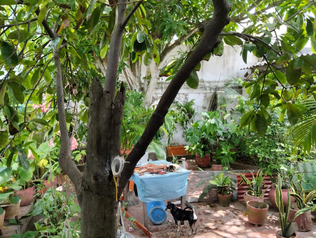 Casa en venta en Bellavista, Barranquilla · foto 5 de 16