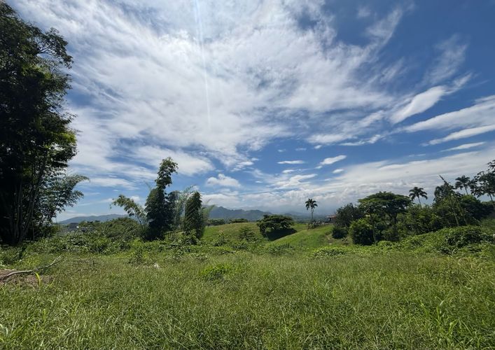 Lote en venta en Cerritos, Pereira, 4000 m² · foto 2 de 4